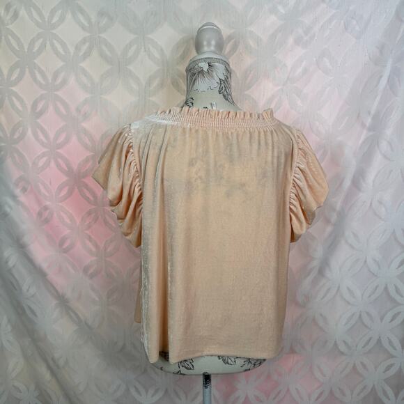 Free People Terese Top Pink Tint Flutter Short Sleeves Size M - Picture 5 of 8